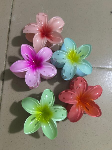 Pinces à cheveux fleurs colorées