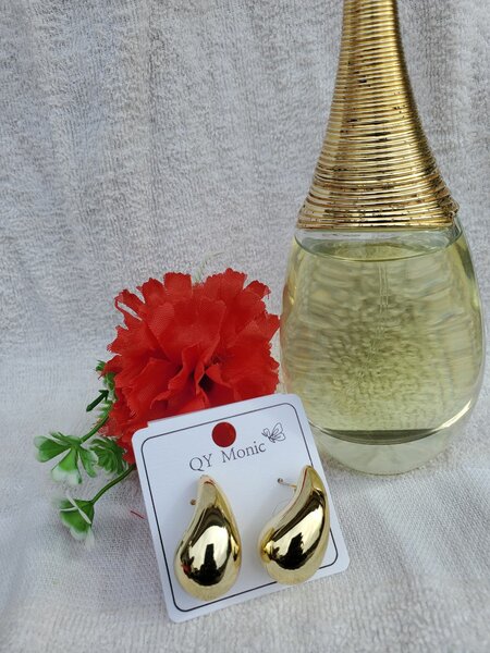 Boucles d'oreilles dorées élégantes