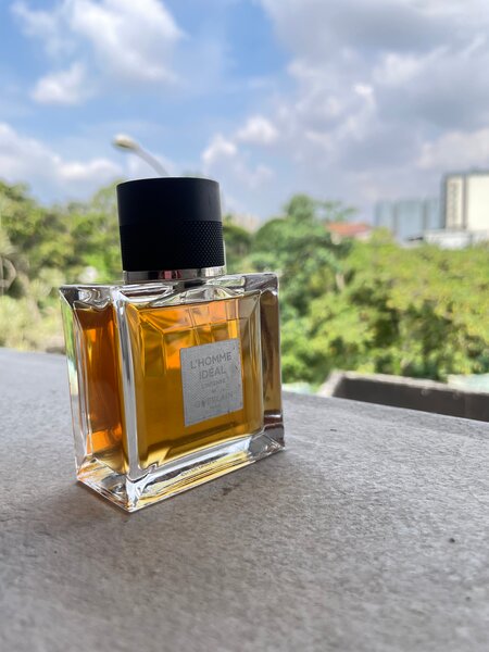 Parfum L'Homme Idéal