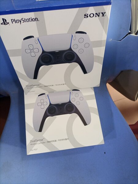 PS5 Game Controller