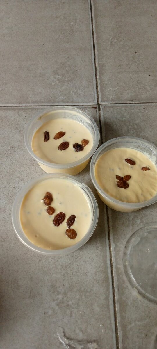 Crème glacée aux raisins