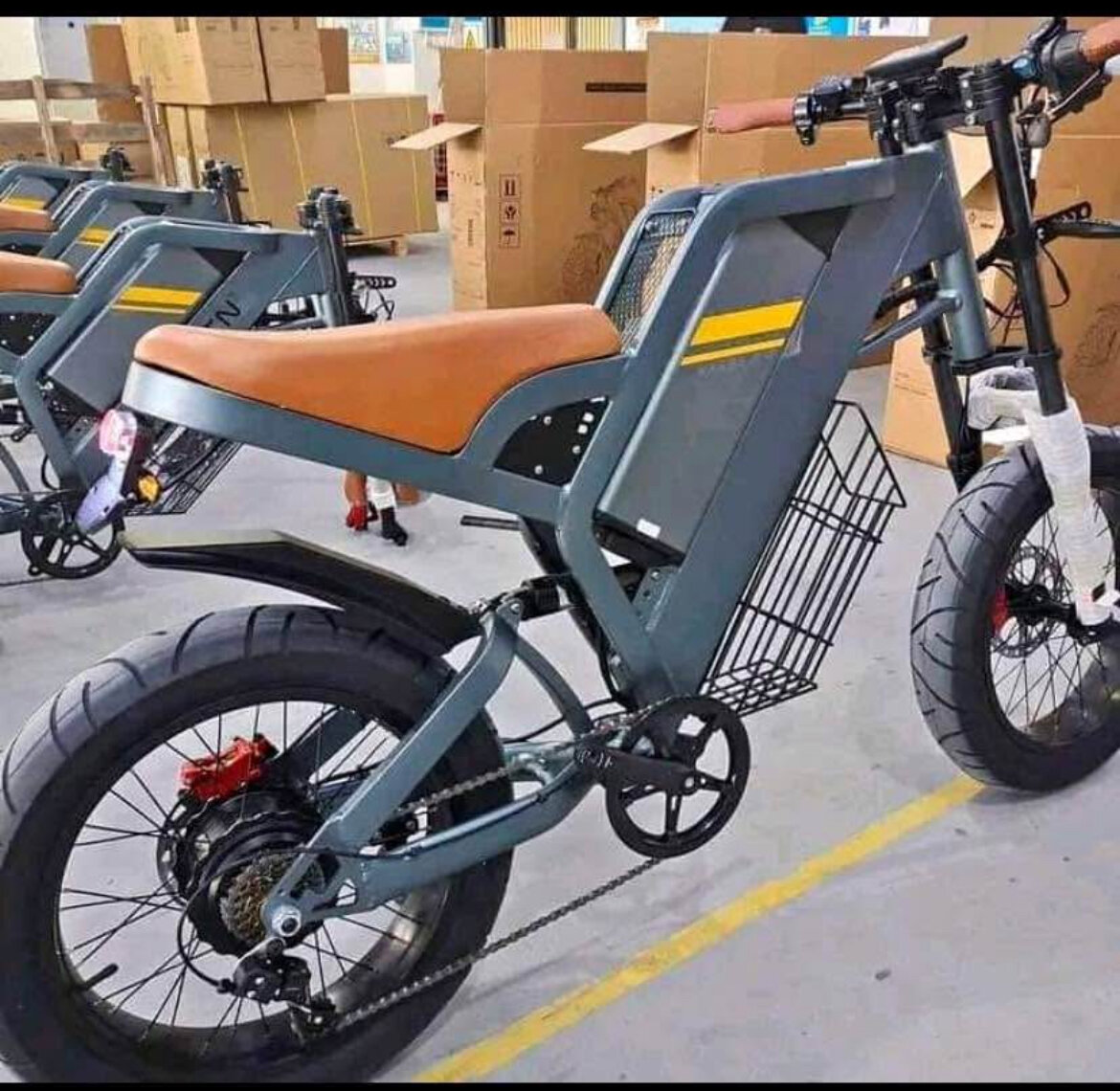 Vélo électrique urbain stylé