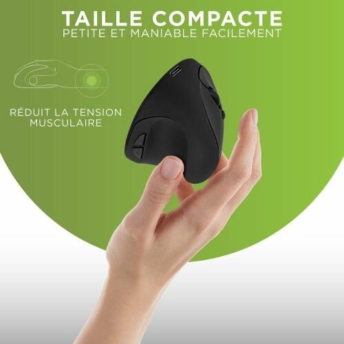 Souris ergonomique sans fil