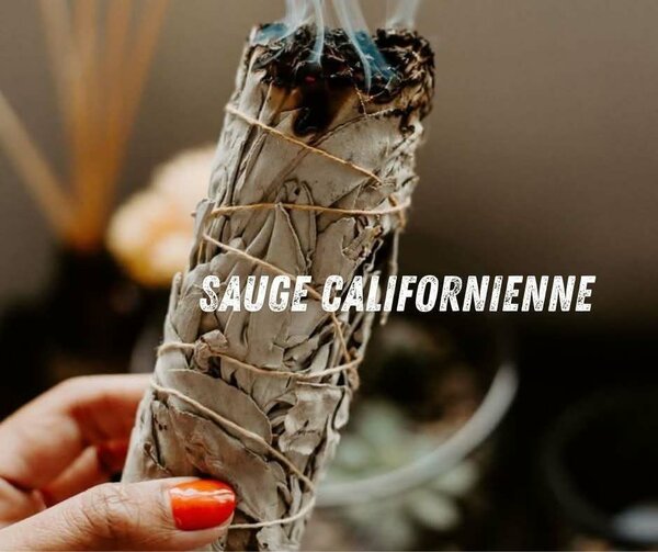 Sauge Blanche Purifiante