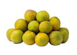 Oranges fraîches biologiques