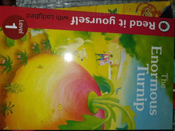 Ladylady bird story books