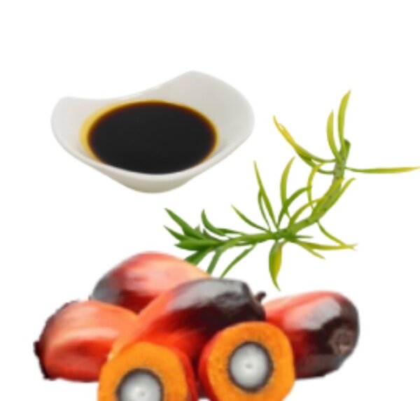 Huile de palmiste pour cheveux