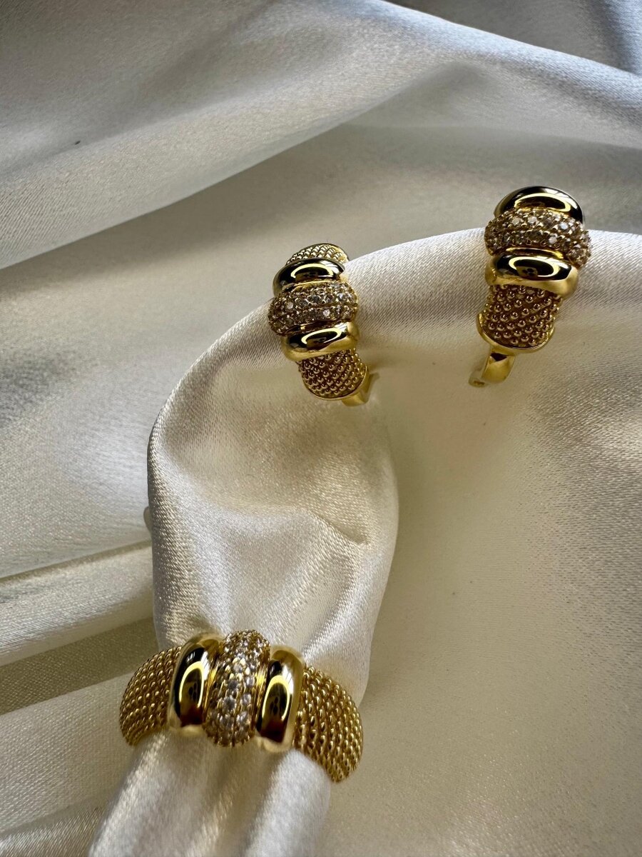 Жессика ван лиз