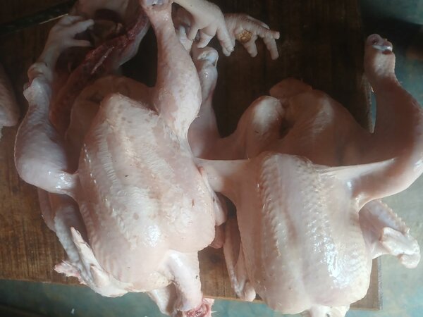 Poulet frais non découpé