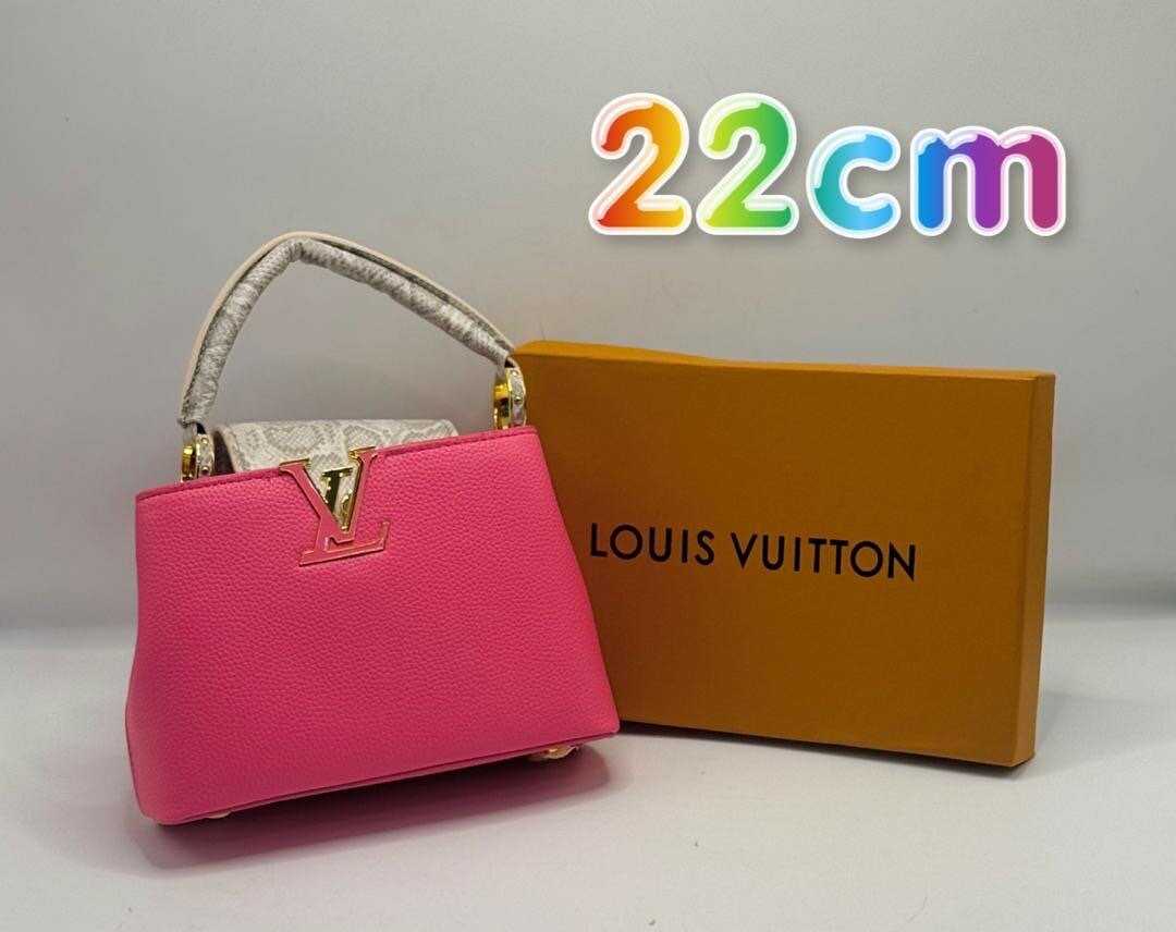 Sac Louis vitton