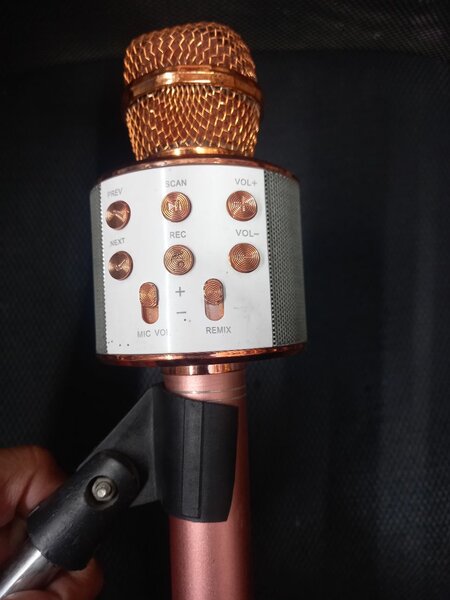 Microphone