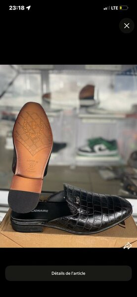 Mocassins en cuir élégants