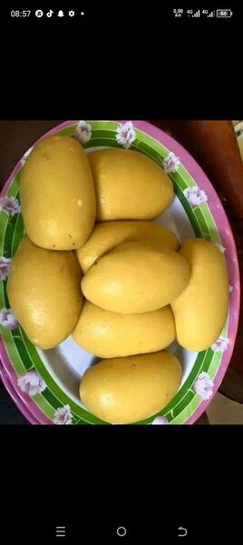 Délices culinaires africains