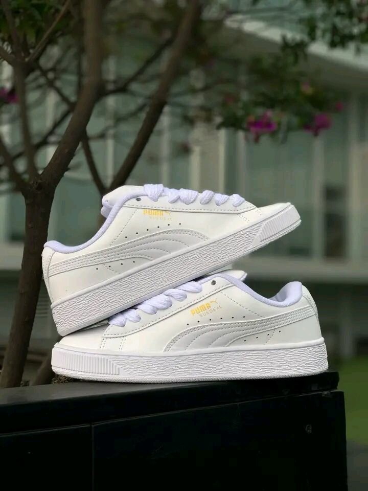 Baskets mode homme Calvin Klein