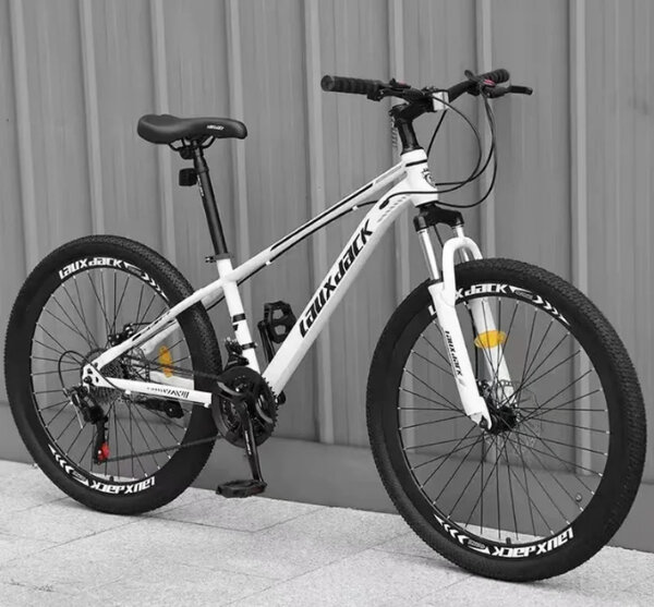 Vélo VTT Tout Terrain