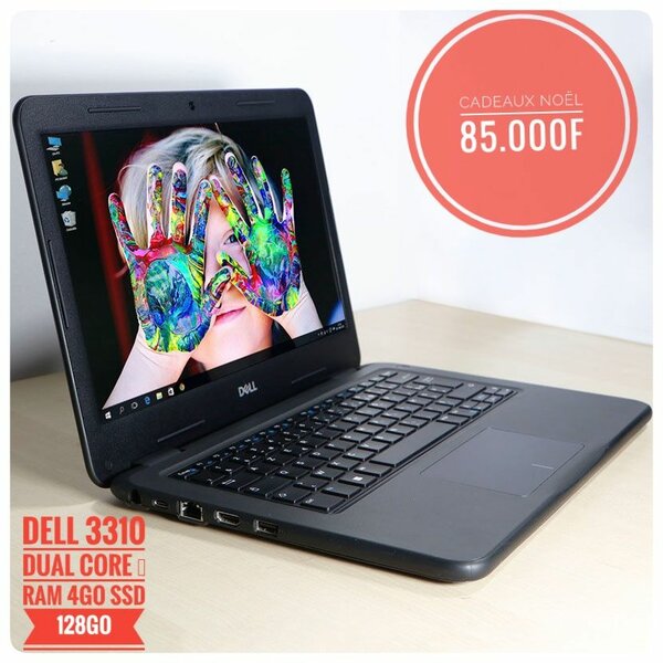 DELL latitude 3310 dual core