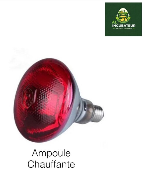 Ampoule Chauffante Rouge