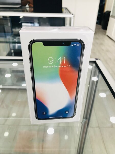 iPhone X
