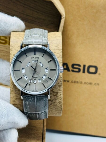 Montre Homme Élégante Casio