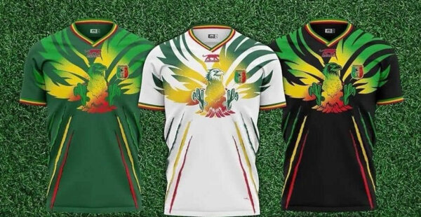 Maillot Foot Pro   Mali