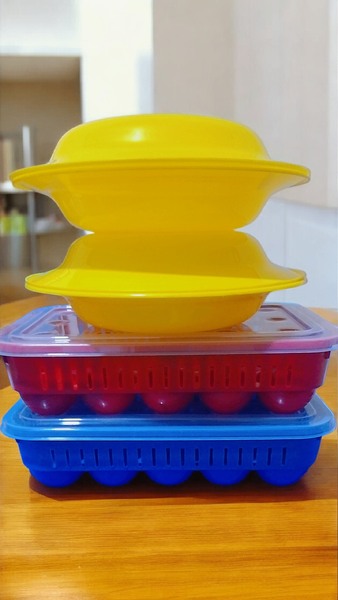 Contenants à œufs en plastique colorés