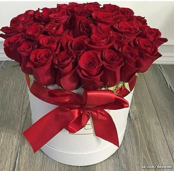 Bouquet de roses rouges luxueuses
