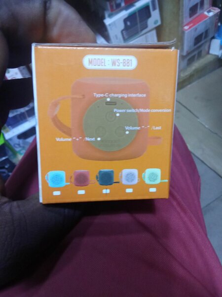 Hautparleur Sans Fil WSTER