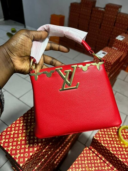 Sac Louis Vuitton