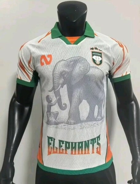 Maillot Côte d'Ivoire Élégant