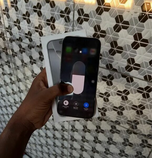 iPhone 14 Pro Max Argent