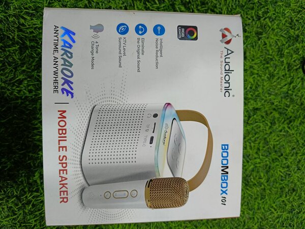 Audionic BoomBox 101