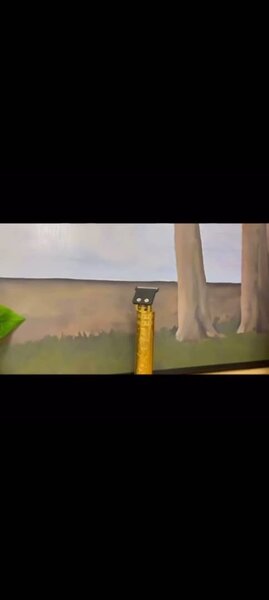 Tondeuse Électrique Précision