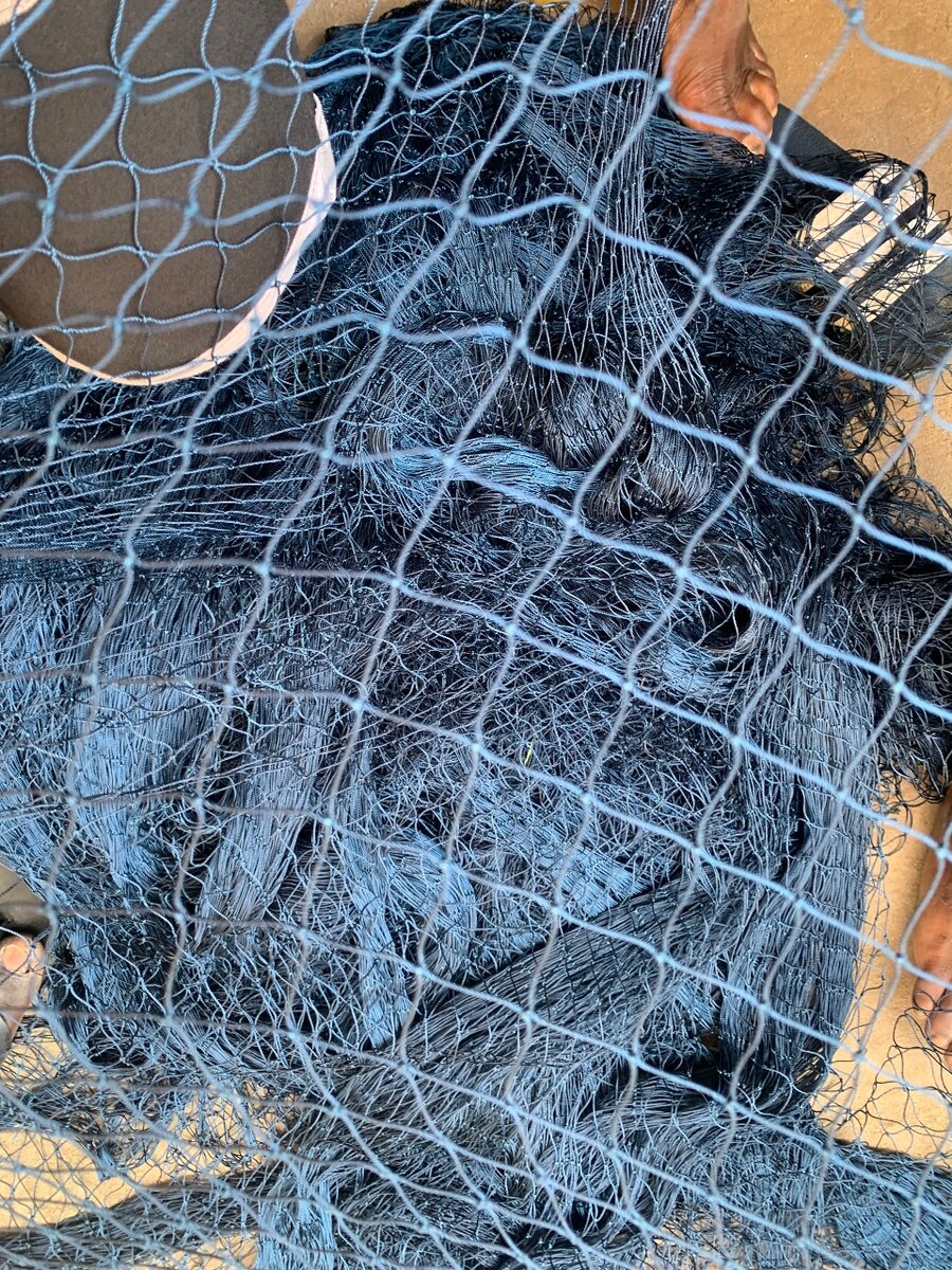 Filet 2 dois pour élevage