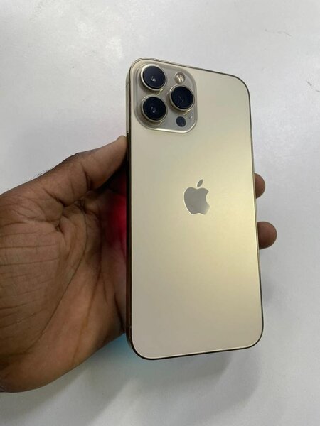 iPhone 13 Pro Max 256GB