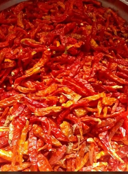 Piments secs épicés premium