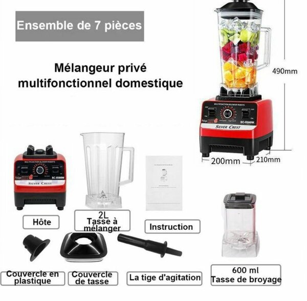 Blender Puissant Multifonction