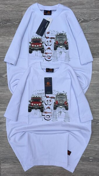 T-shirts assortis décontractés