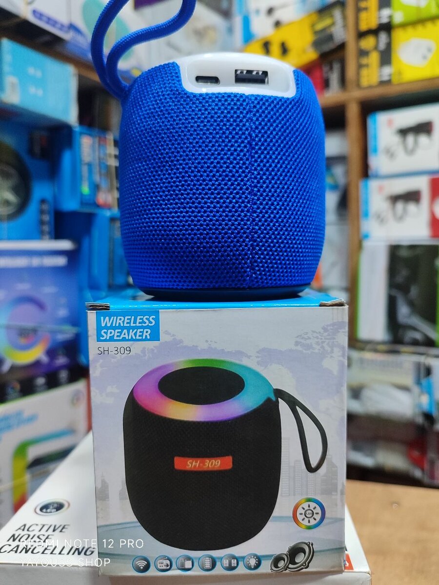 Portable Bluetooth Speaker SH-309
