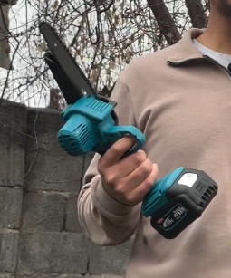 Бак-дарактарды бутоочу араа