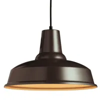 Modern Dome Black Retro Pendant Light
