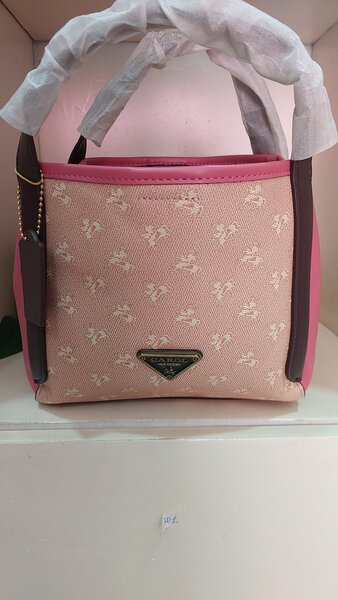 Petit Sac à Main Élégant