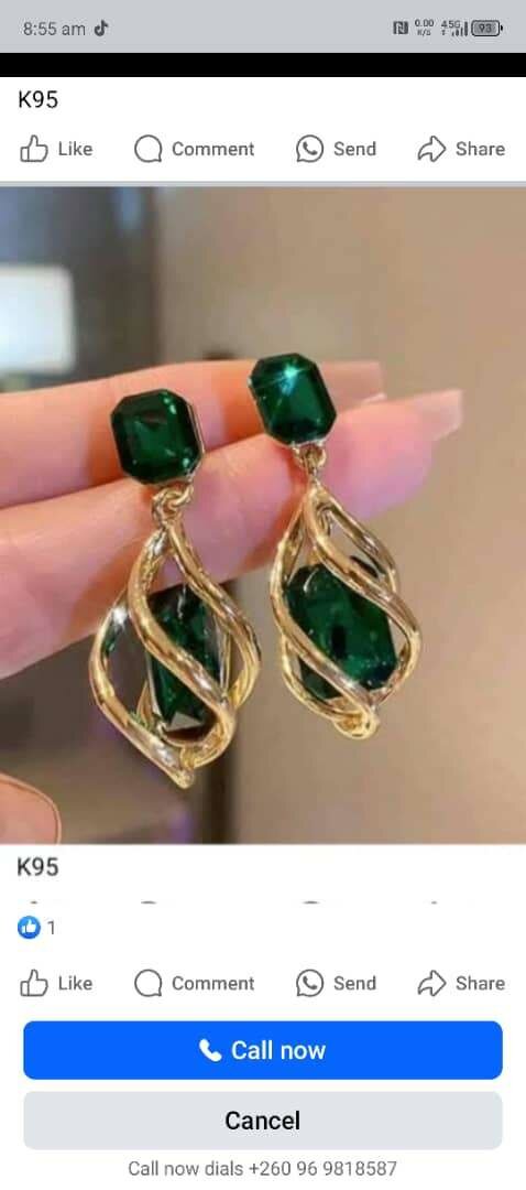 Earrings