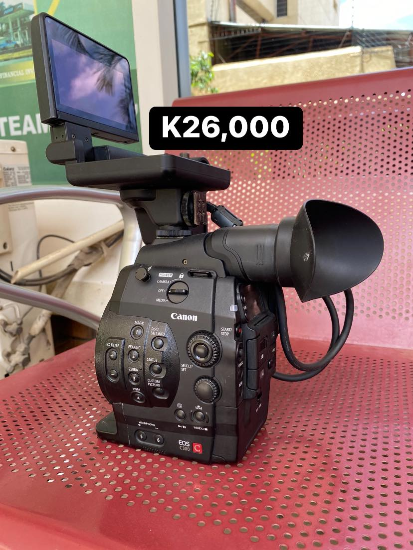 Canon c300