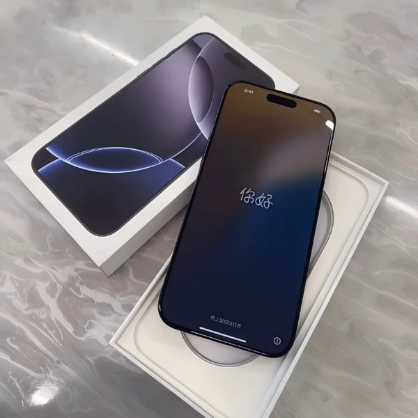 iPhone 15 Pro Max 256 Go Argent