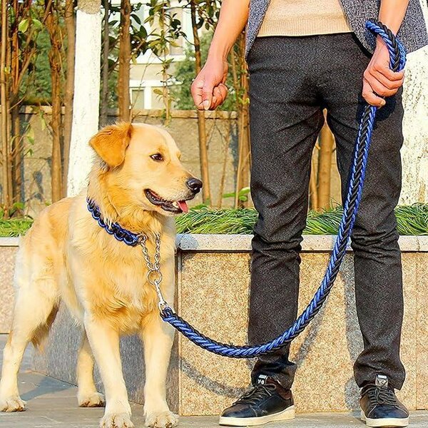 Laisse pour chien