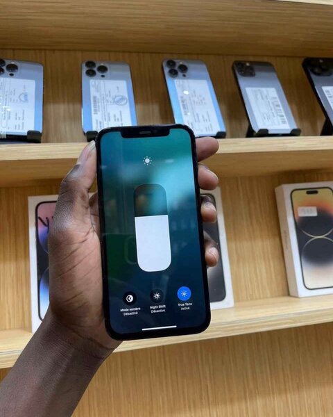 iPhone 12 Pro Max 256 Go