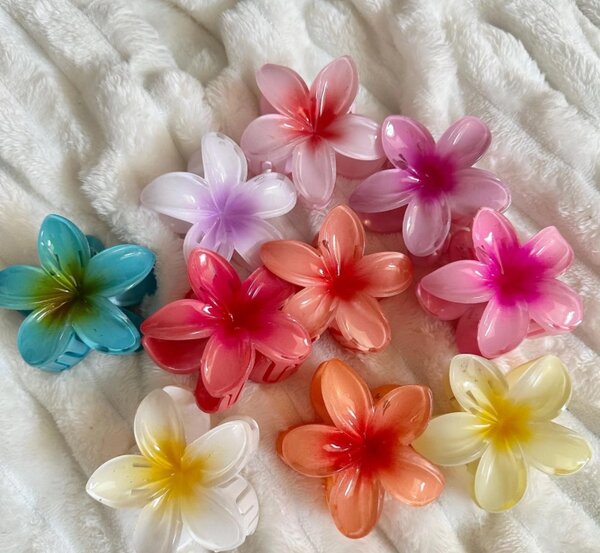 Pinces à cheveux fleurs colorées