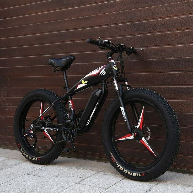 Vélo Électrique Tout-Terrain