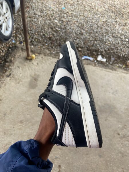 Nike dunks(black and white in colour