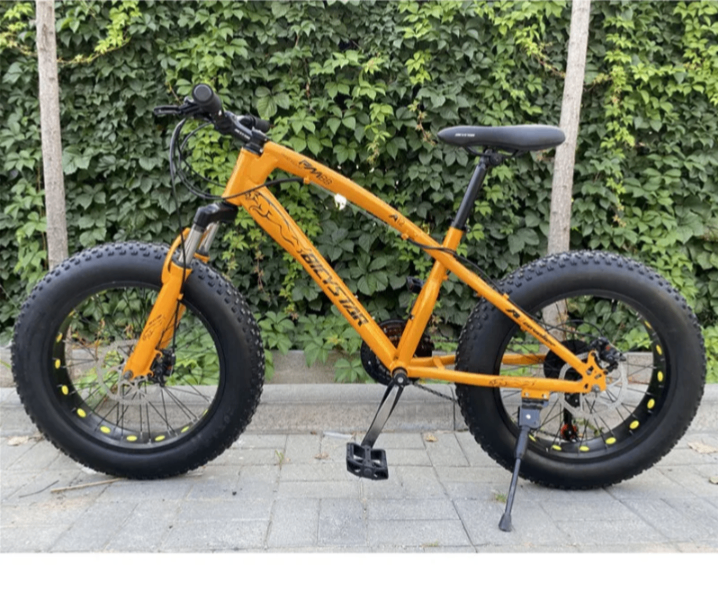 Vélo Fat Bike tout-terrain
